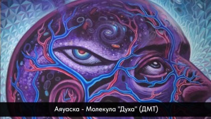 Аяуаска—Молекула-Духа-ДМТ1280х800