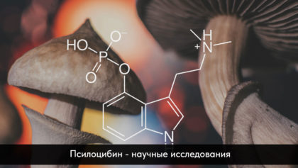 Псилоцибин—научные-исследования1280х800
